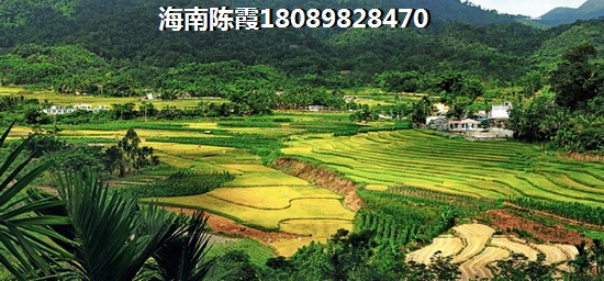 东方房产价格升高分析